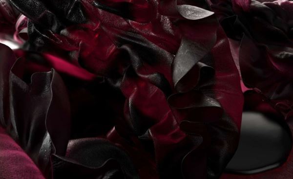 Какие цвета будут главными в 2025 и 2026 годах