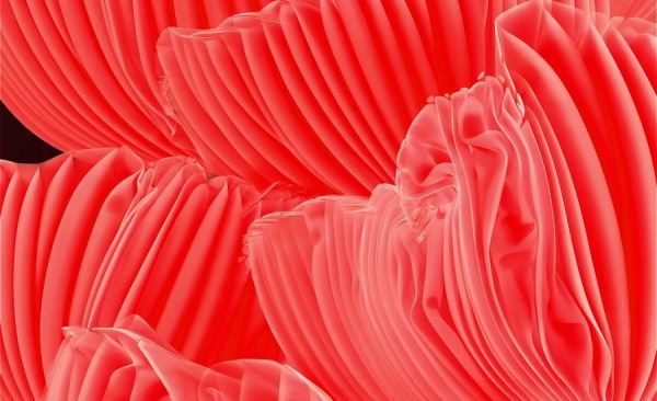 Какие цвета будут главными в 2025 и 2026 годах