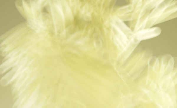 Какие цвета будут главными в 2025 и 2026 годах