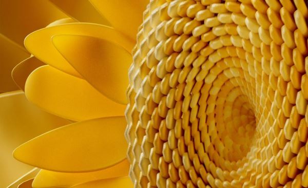 Какие цвета будут главными в 2025 и 2026 годах