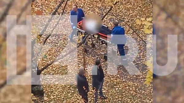 Восьмиклассница выпала из окна четвертого этажа школы в Санкт-Петербурге