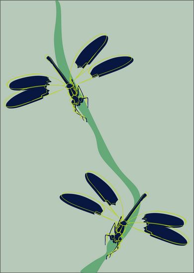 Новые имена в дизайне принтов. Выбор PROfashion