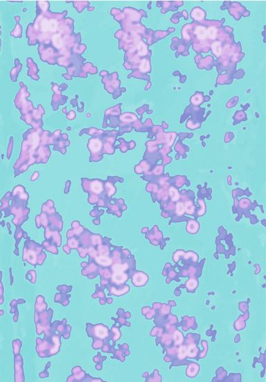 Новые имена в дизайне принтов. Выбор PROfashion