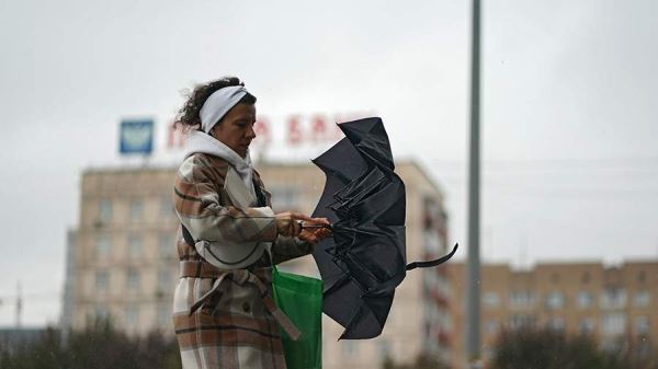 Синоптики спрогнозировали облачность и небольшой дождь в Москве 1 ноября